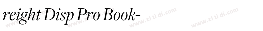 reight Disp Pro Book字体转换